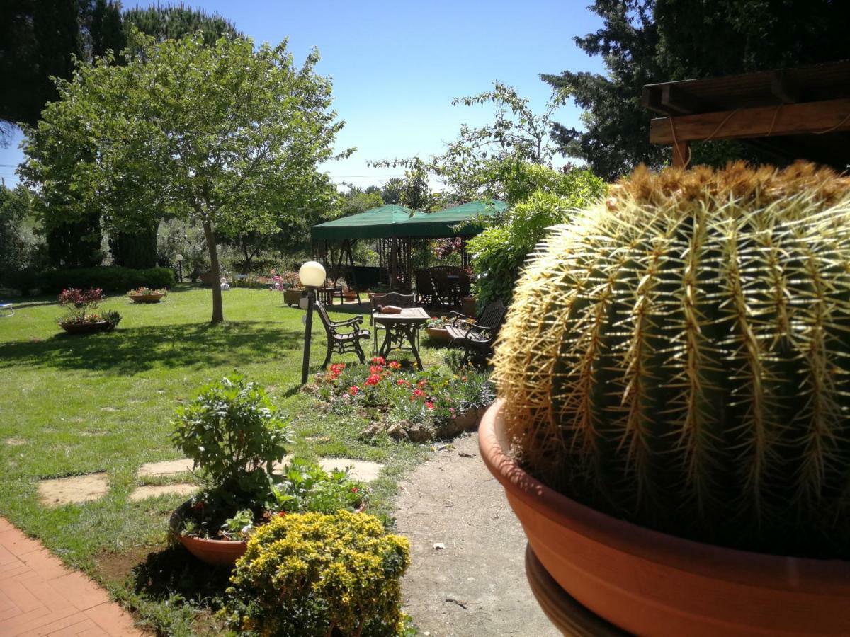 Vacanze Verde Mare - Beggi Casale Marittimo Exterior foto